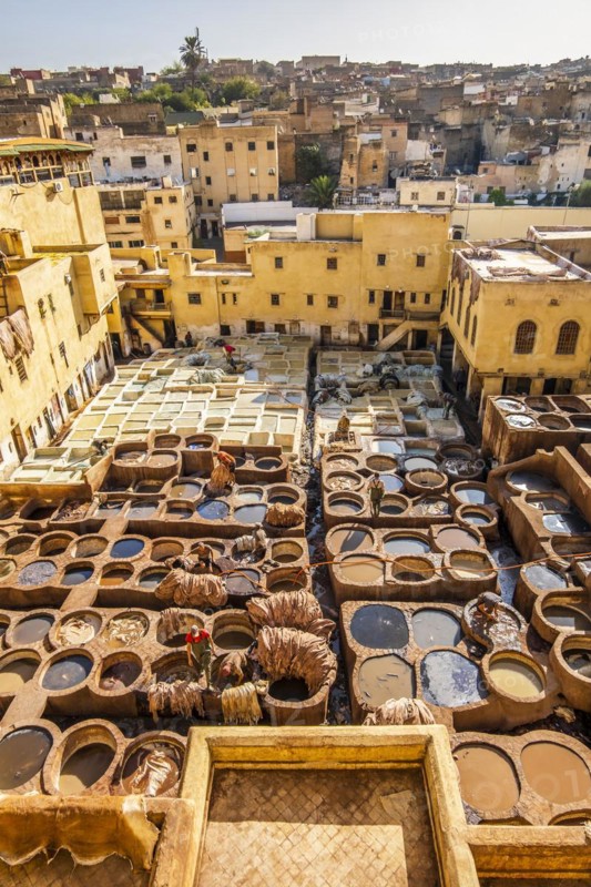 Famous skin tannery in Fes