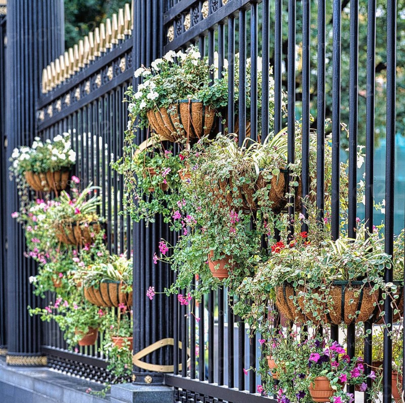 Fencing of the Alexander Garden