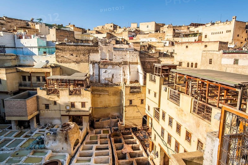 Famous tannery in sunny Fez
