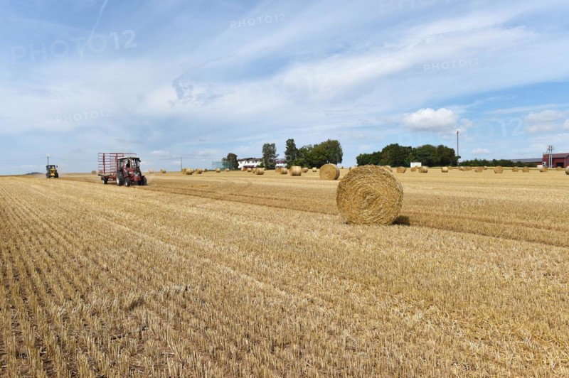 Round bales are loaded with tractor and wheel loader