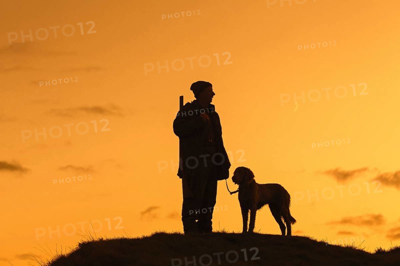 Hunter with hunting rifle and Weimaraner dog silhouetted against evening sky