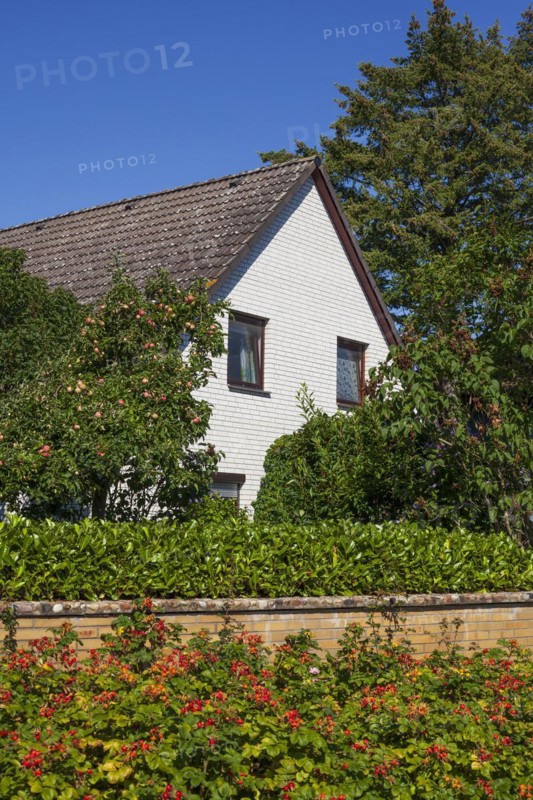 Single-family house