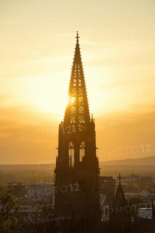 Freiburg Cathedral