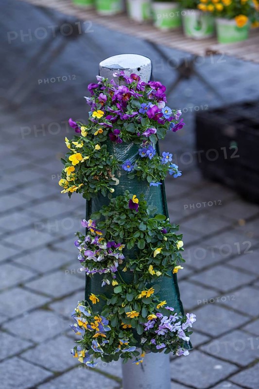 Day and night shade hung to grow on a post