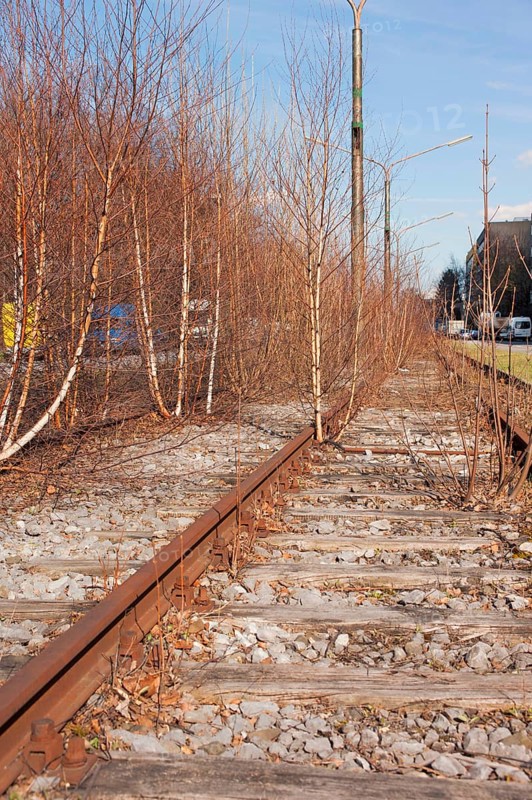 Dead tram track