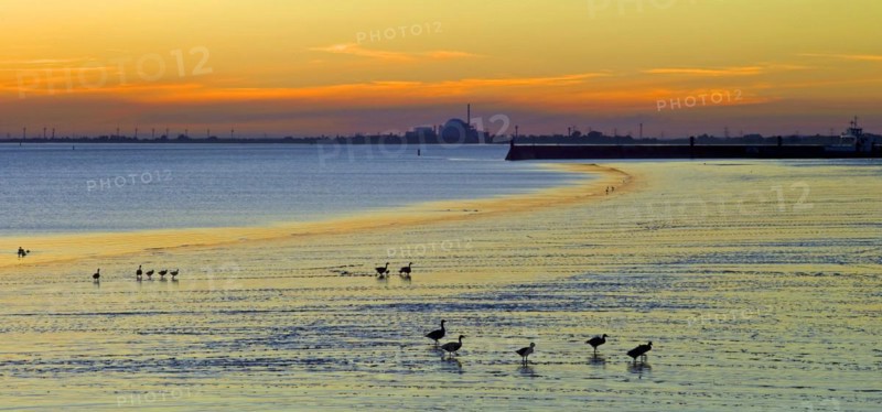 Evening mood on the Elbe