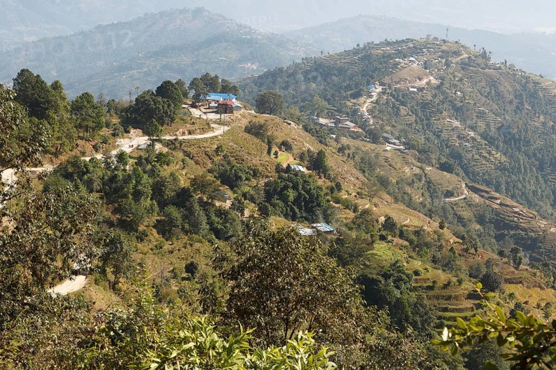 Terraced fields fields in the Kafalchur valley