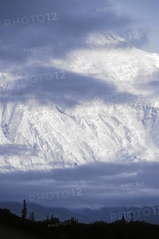 Snow covered mountain slope of Mount McKinley with silhouetted trees