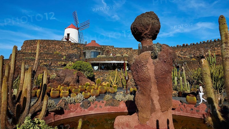 Jardin de Cactus