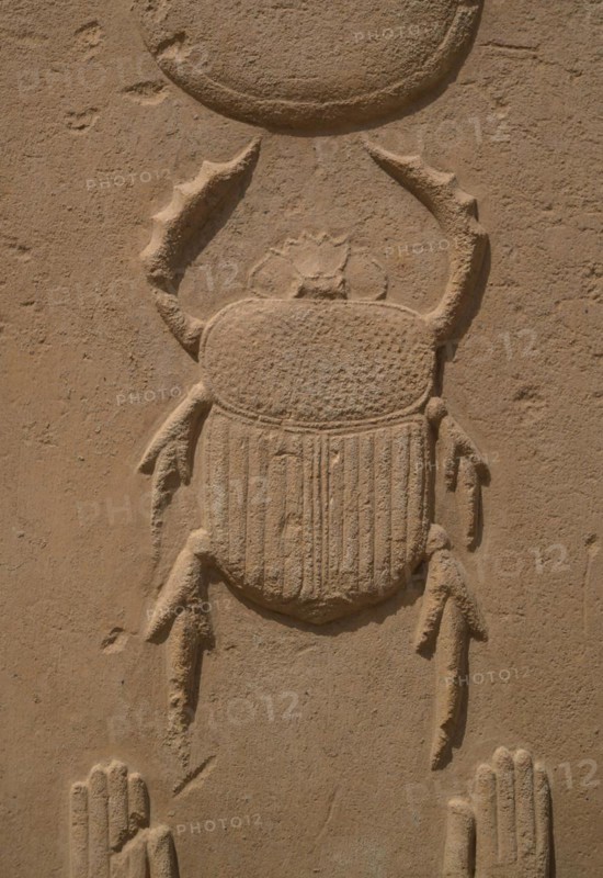 Scarab