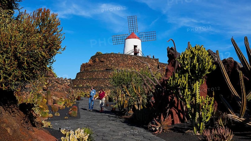 Jardin de Cactus