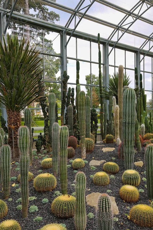 Glass plant house in the villa gardens by the lake