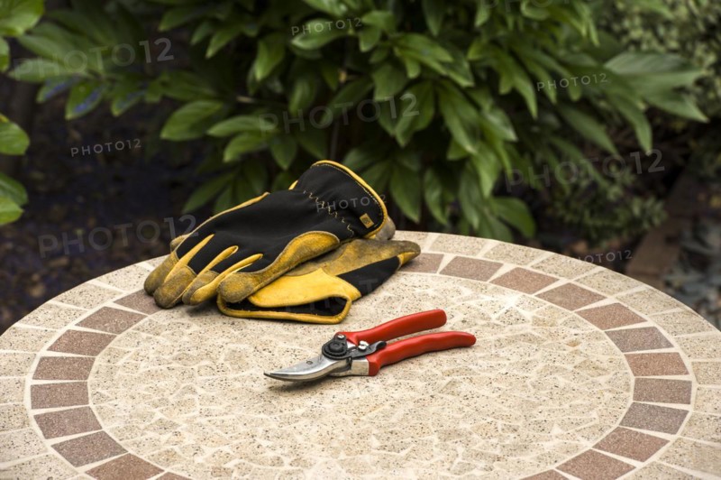 Secateurs and gloves on a garden table