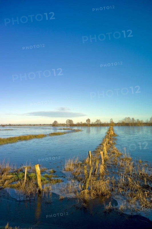Flooded nature reserve Breites Wasser near Worpswede