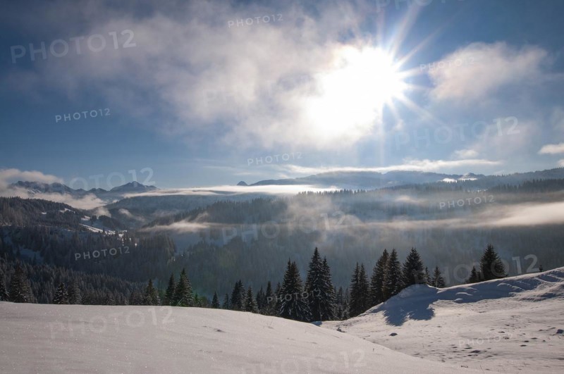 View from the Mittelalpe above the Riedberg Pass into the Kleinwalstertal Mountains