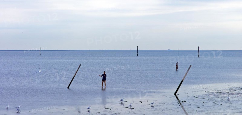 Mudflat walkers in the mudflats off Dornumersiel