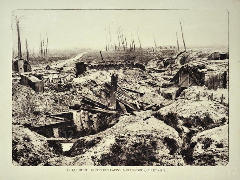 Trenches and broken trees of forest after bombardment