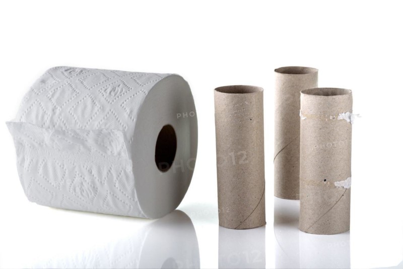 Three empty toilet rolls alongside a new full roll