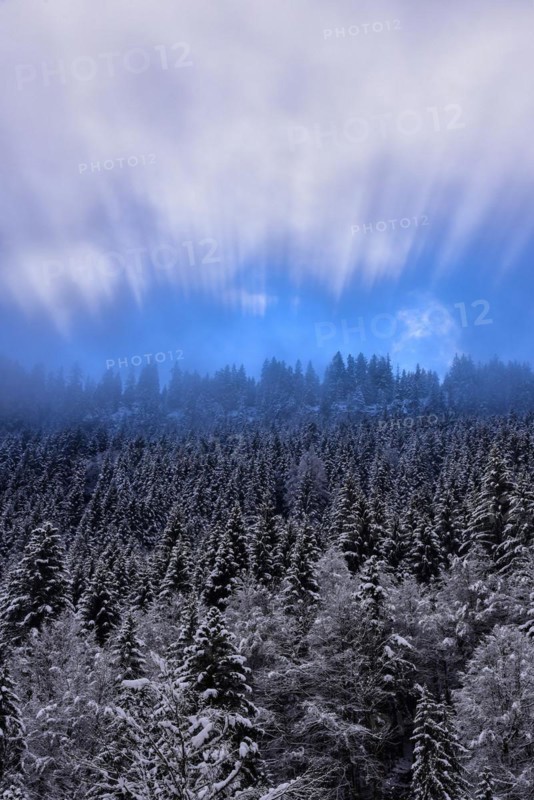 The sun breaks through the high fog at the Riedberg Pass near Obermaiselstein in Allgaeu