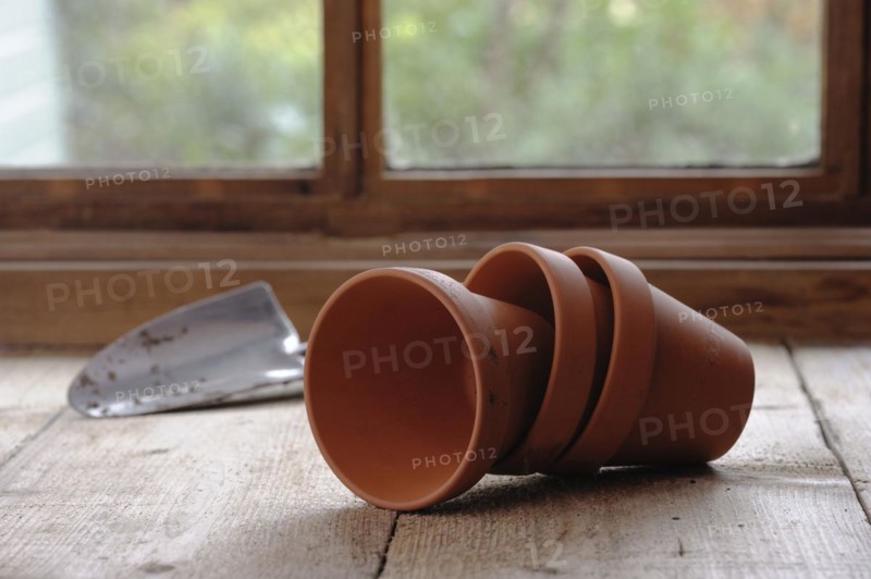 Still Life