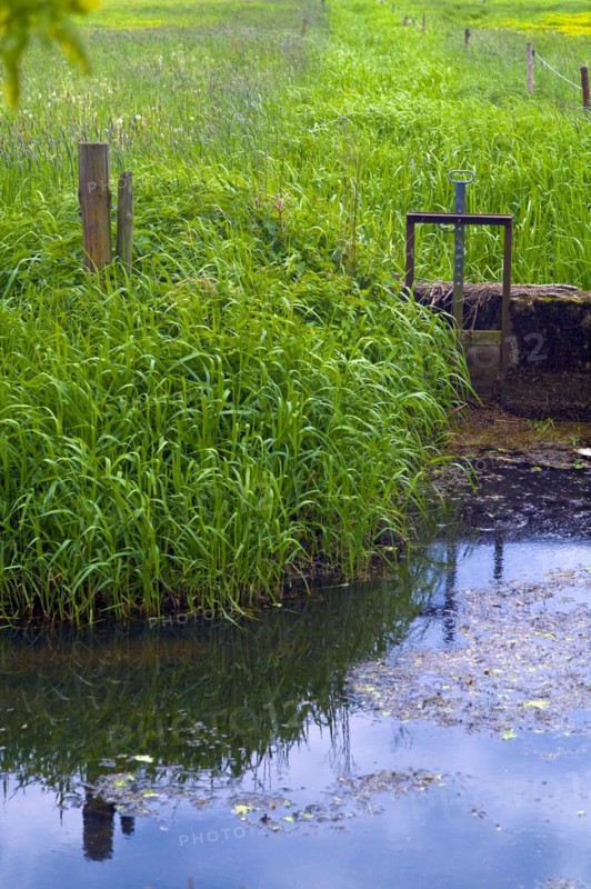Small siel in the Wuemmewiesen of Bremen Borgfeld