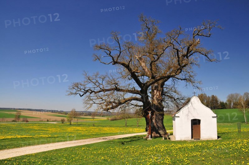Chapel of St Anthony in Haselbach