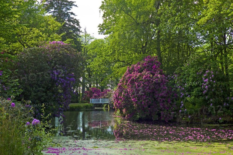 Luetetsburg Castle Castle Park