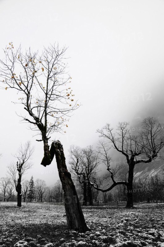 Winter onset