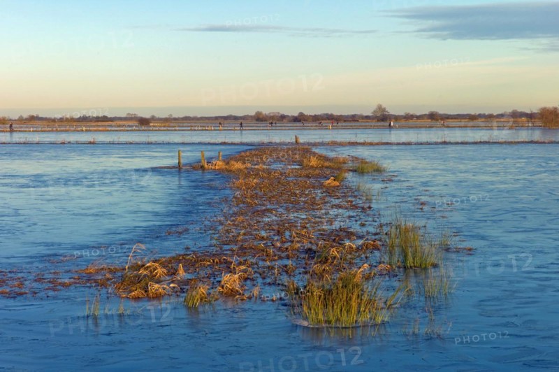 Flooded nature reserve Breites Wasser near Worpswede