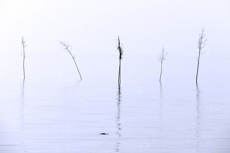 Priggen at the entrance of the Wremertief sieve harbour
