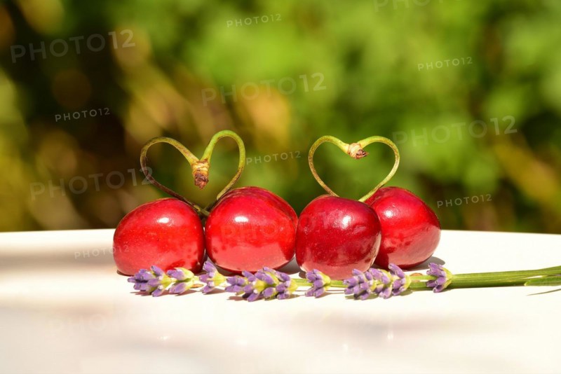 Sour cherry