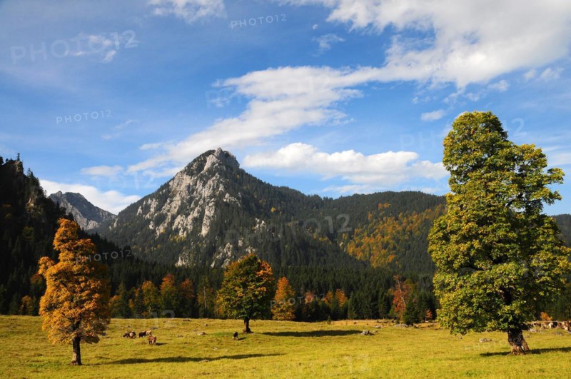 The Wanker spot above Halblech