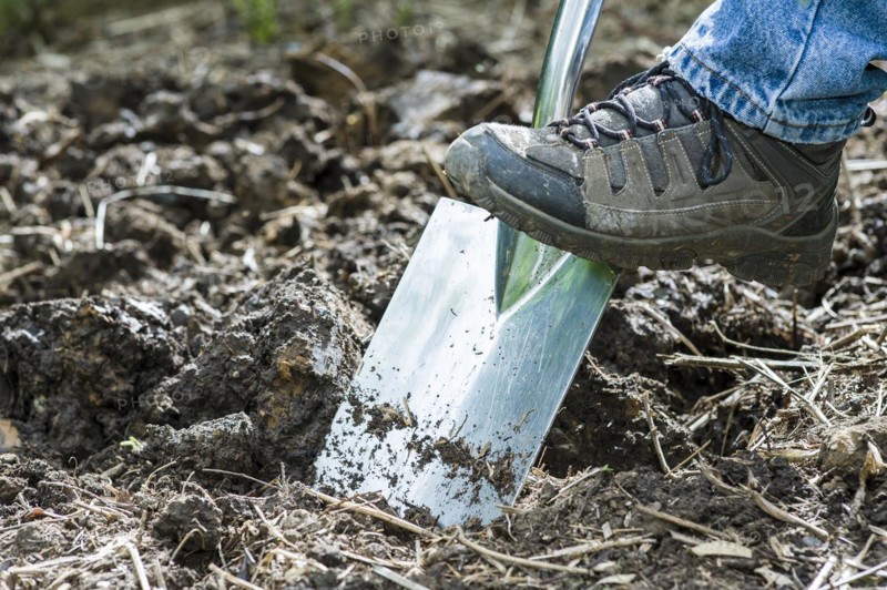 Preparing a garden bed