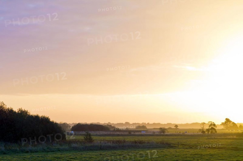 Sunrise in the Breites Wasser nature reserve