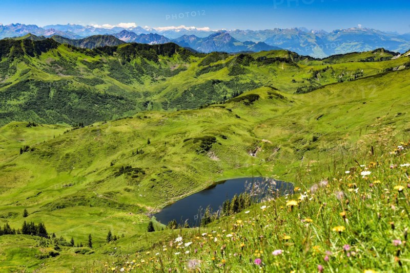 View of Lake Suenser in the Damuelser Mountains in the Bregenzerwald