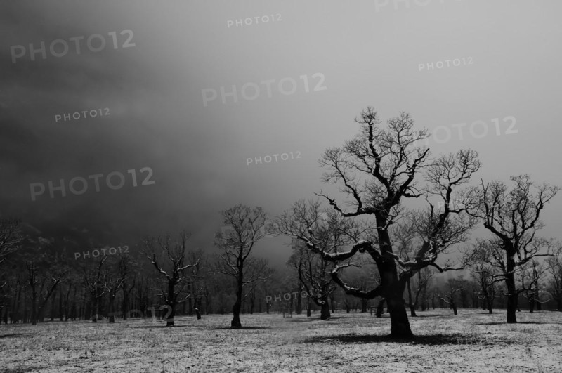 Winter onset