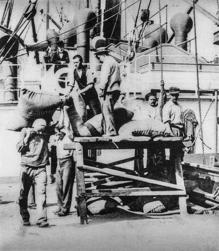 Old early 1900s photo of stevedores