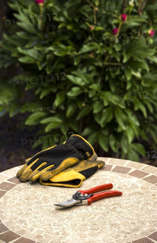 Secateurs and gloves on a garden table