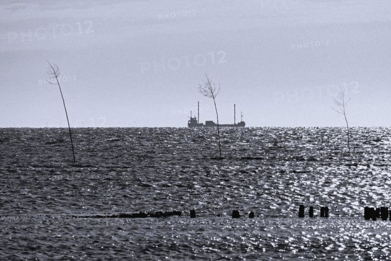 Bank reinforcement and two prigs at the harbour entrance of Spieka Neufeld