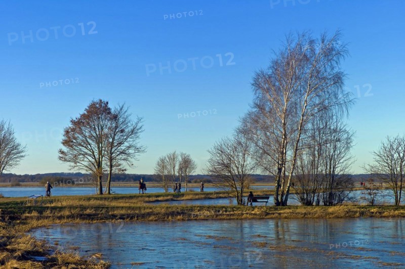 Walkers in the Breites Wasser nature reserve near Worpswede