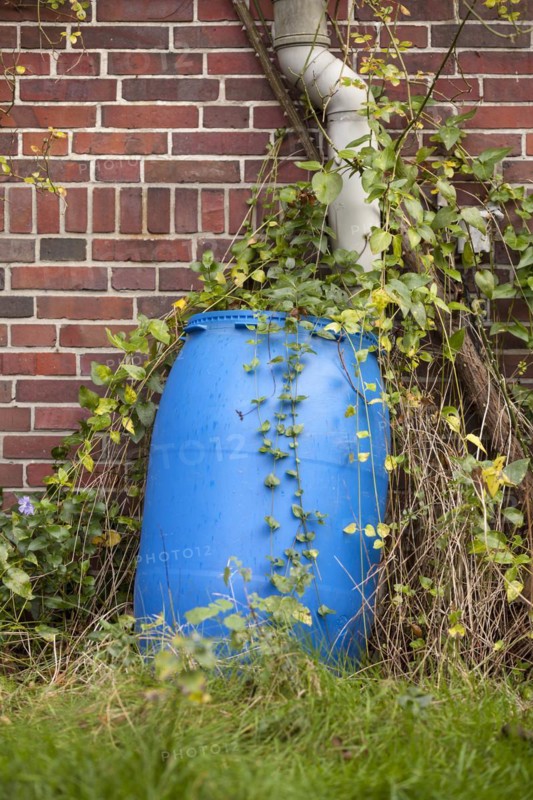 Blue rain barrel