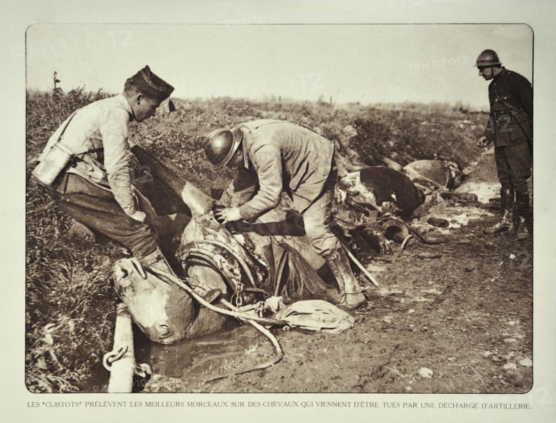 Soldiers butchering dead horses for the meat after bombardment in Flanders during the First World War