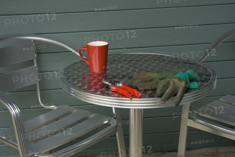 Secateurs and garden gloves
