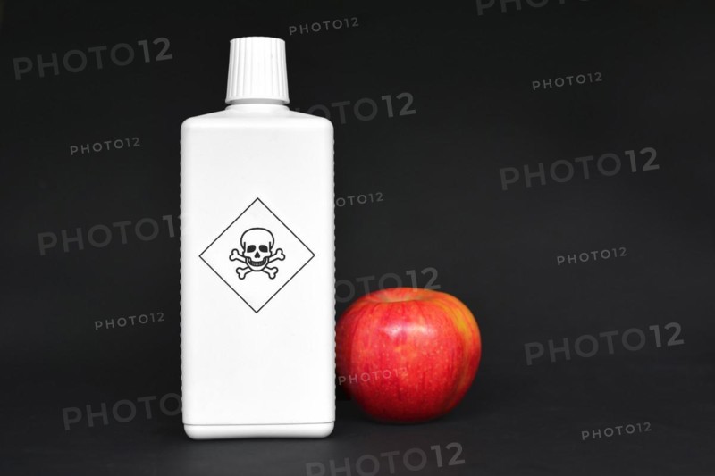 Concept for usage of dangerous pesticides in agricultural food products with red apple next to white bottle with poisonous warning label with skull on black background