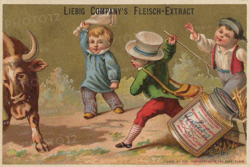 Series of pictures of a peasants story