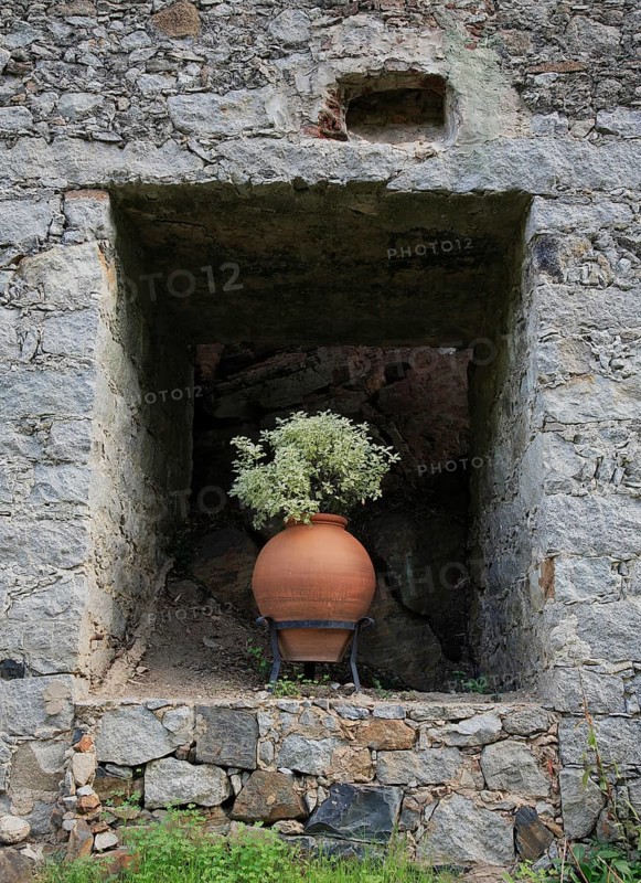 Ceramic amphora with a green plant stands in a niche of a historical wall