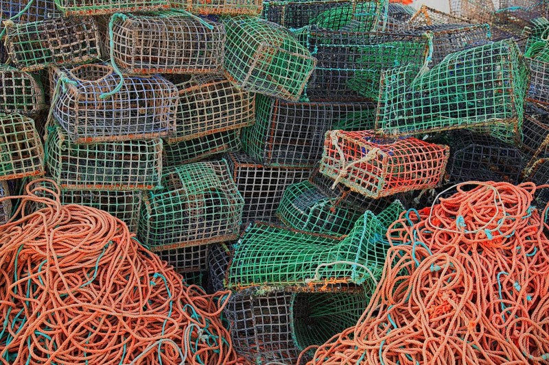 Lobster cages