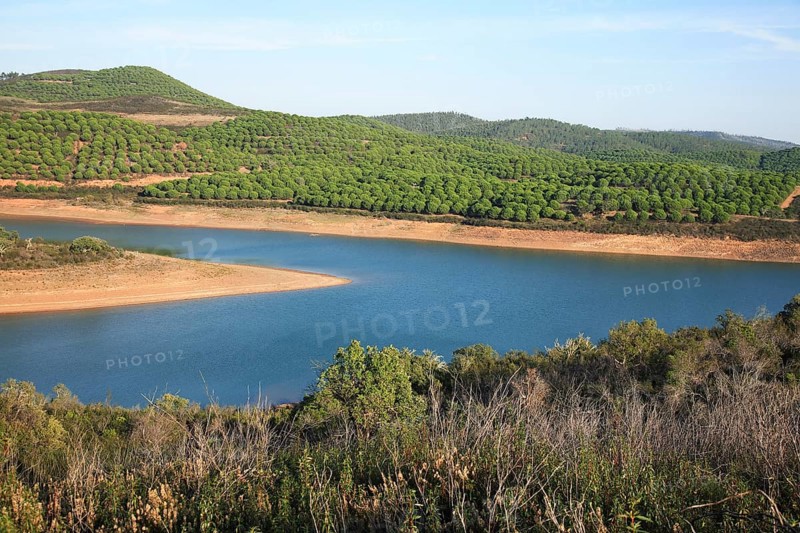Landscape at Barragem da Bravura reservoir with pine forest