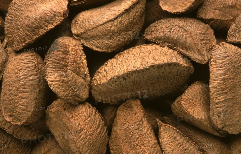 Brazil nuts