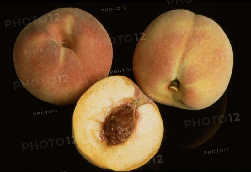 Peaches